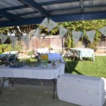 Decorating Ideas for BBQ Parties