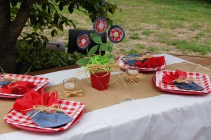 Backyard BBQ Party Decorating Ideas