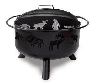 Coleman Stainless Steel Fire Pit