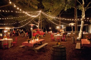 Southern BBQ Party Decorations